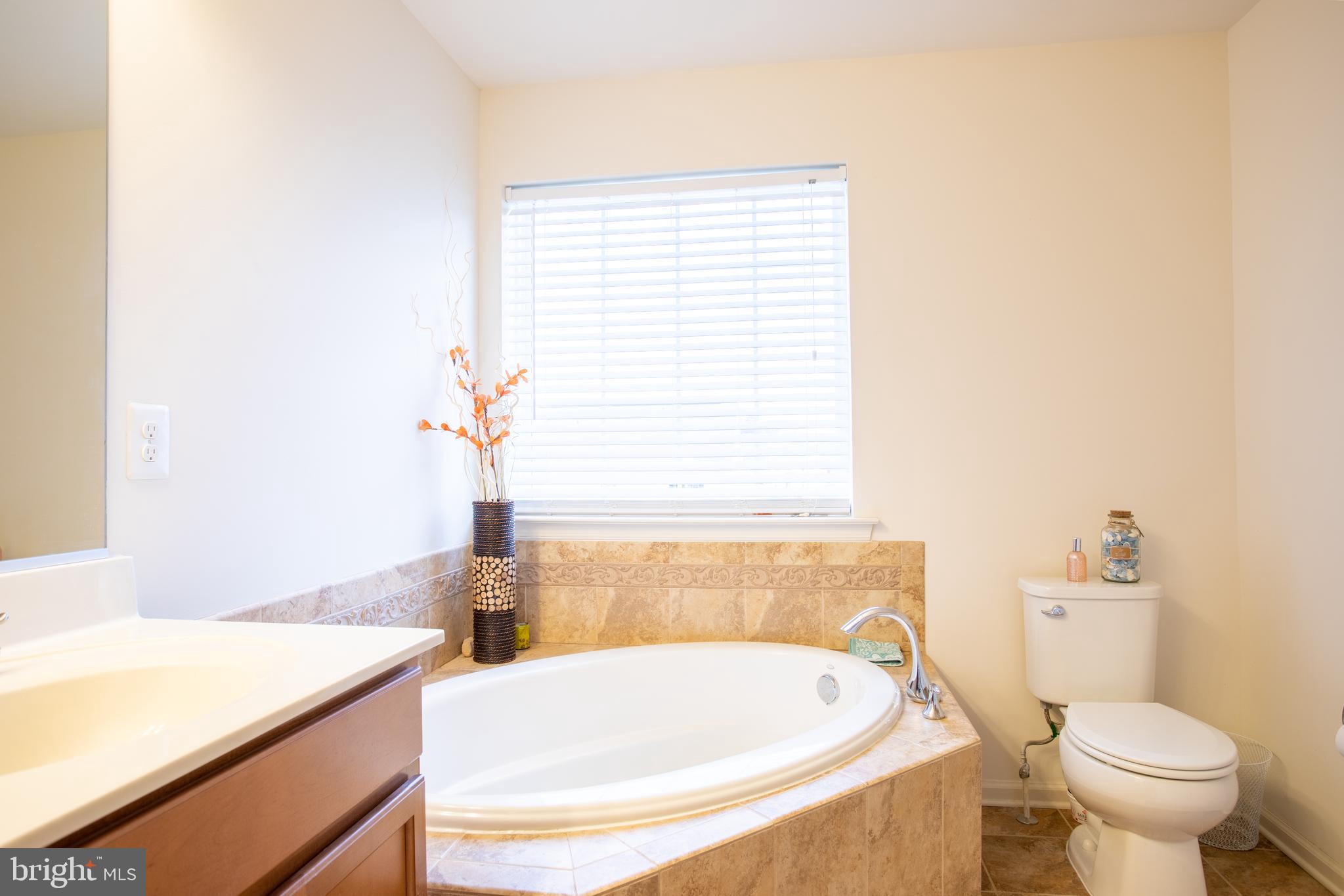 13050 Yellow Jacket Road Hagerstown, MD 21740 - Photo 14 of 22 Soaking Tub
