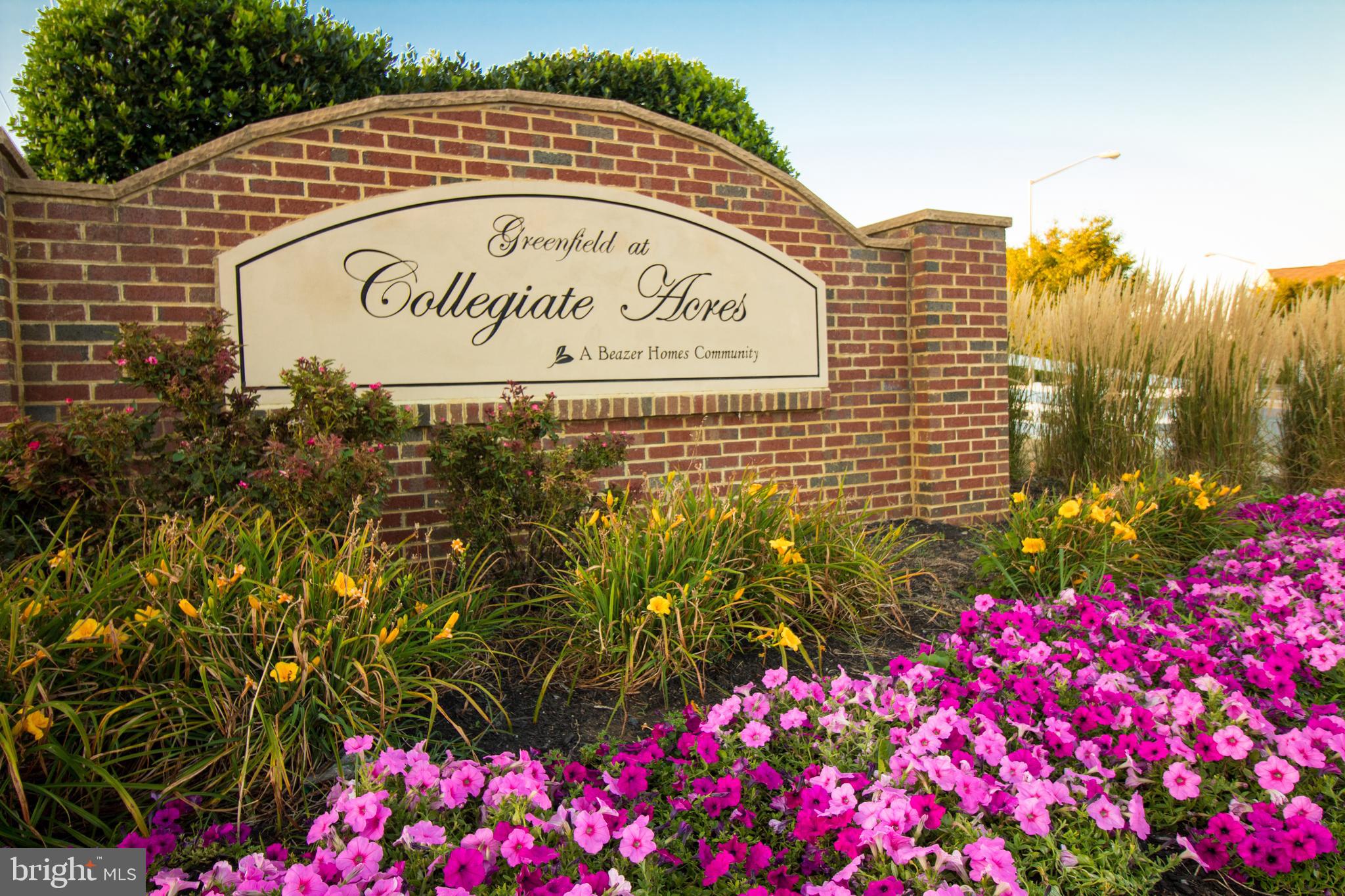 13050 Yellow Jacket Road Hagerstown, MD 21740 - Photo 21 of 22 Greenfield at Collegiate Acres Community