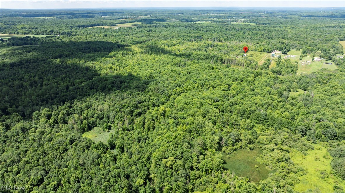 876 Clay Road Jefferson, OH 44047 - Photo 9 of 18 Aerial view of property's location with a heavily wooded area