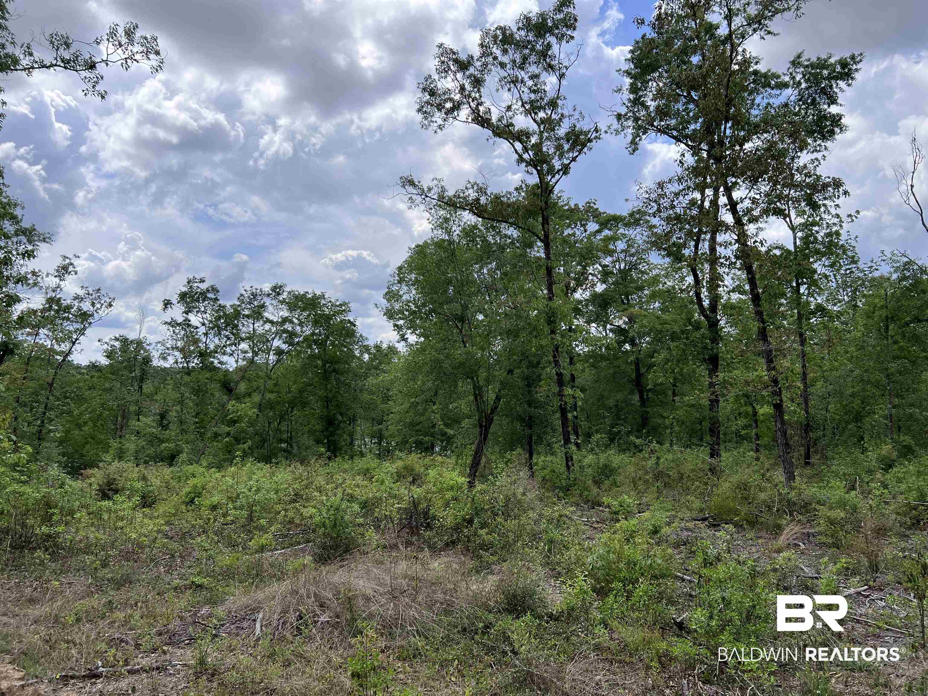 5100 Wiggins Lake Road Walnut Hill, FL 32568 - Photo 24 of 41