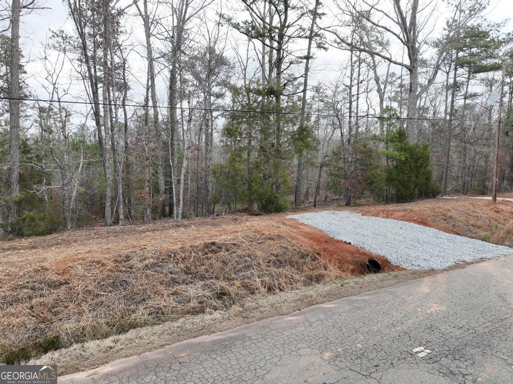 177 Rock Creek Road Flovilla, GA 30216 - Photo 2 of 8 a view of backyard with green space