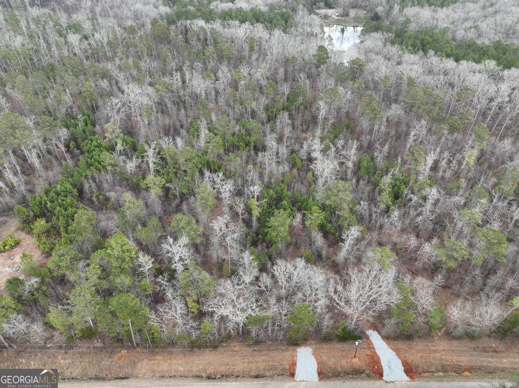 177 Rock Creek Road Flovilla, GA 30216 - Photo 3 of 8 a view of yard with green space