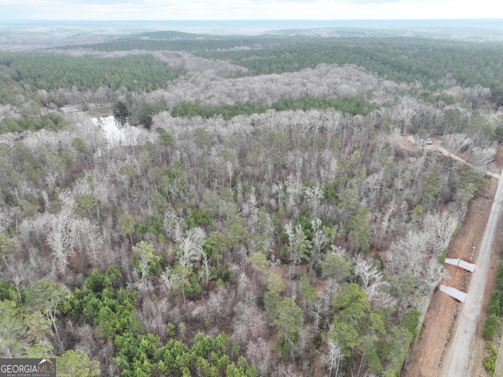 177 Rock Creek Road Flovilla, GA 30216 - Photo 5 of 8 a view of a field