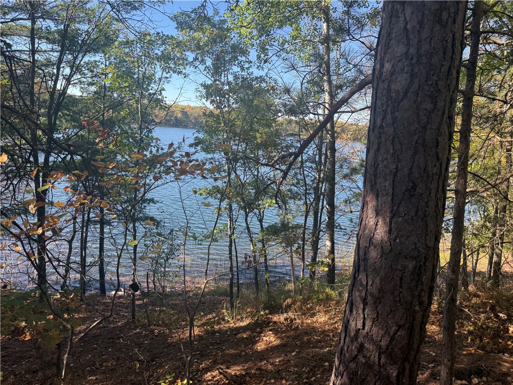 Lot 21 East Long Lake Road Iron River, WI 54847 - Photo 7 of 14