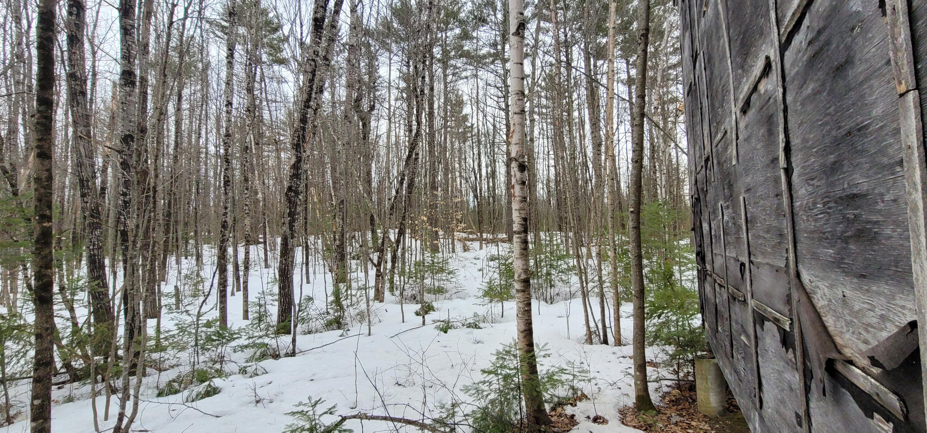 Map9-l19-7 West Sandy River Road Mercer, ME 04957 - Photo 10 of 14 20230403_164308