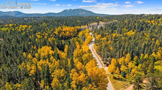 $699,000 | 2558 County Road 28, Woodland Park, CO 80863