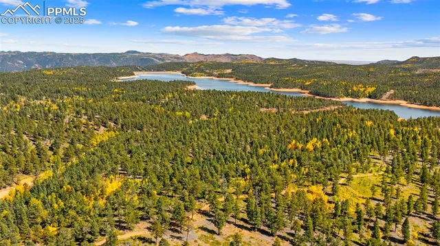 $699,000 | 2558 County Road 28, Woodland Park, CO 80863