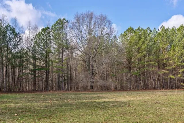 a view of a field with trees in the background