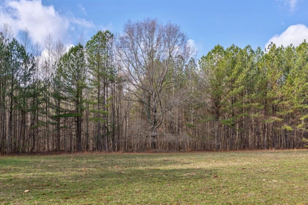 a view of a field with trees in the background