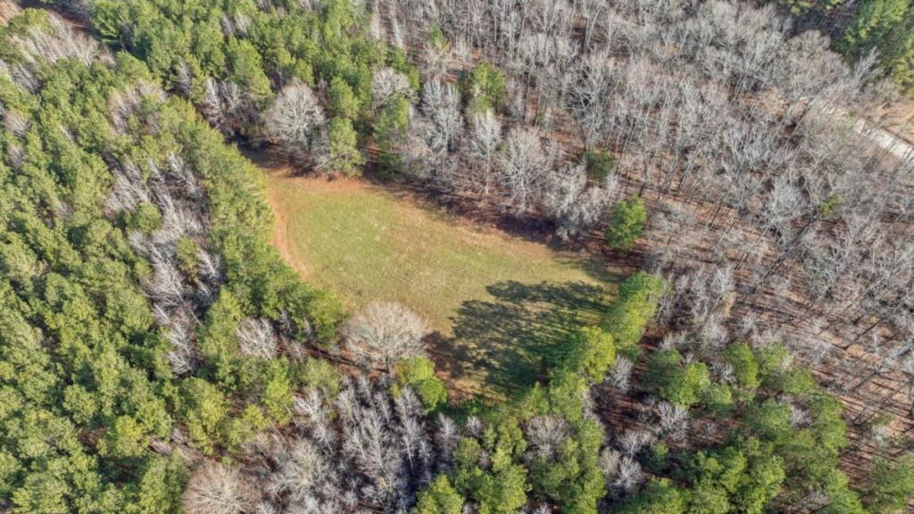 0 Double Bridges Road Madison, GA 30650 - Photo 11 of 20 a view of a yard with trees