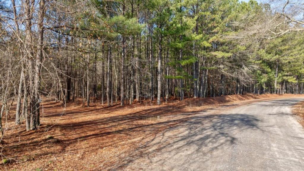 0 Double Bridges Road Madison, GA 30650 - Photo 13 of 20 a view of a backyard of the house