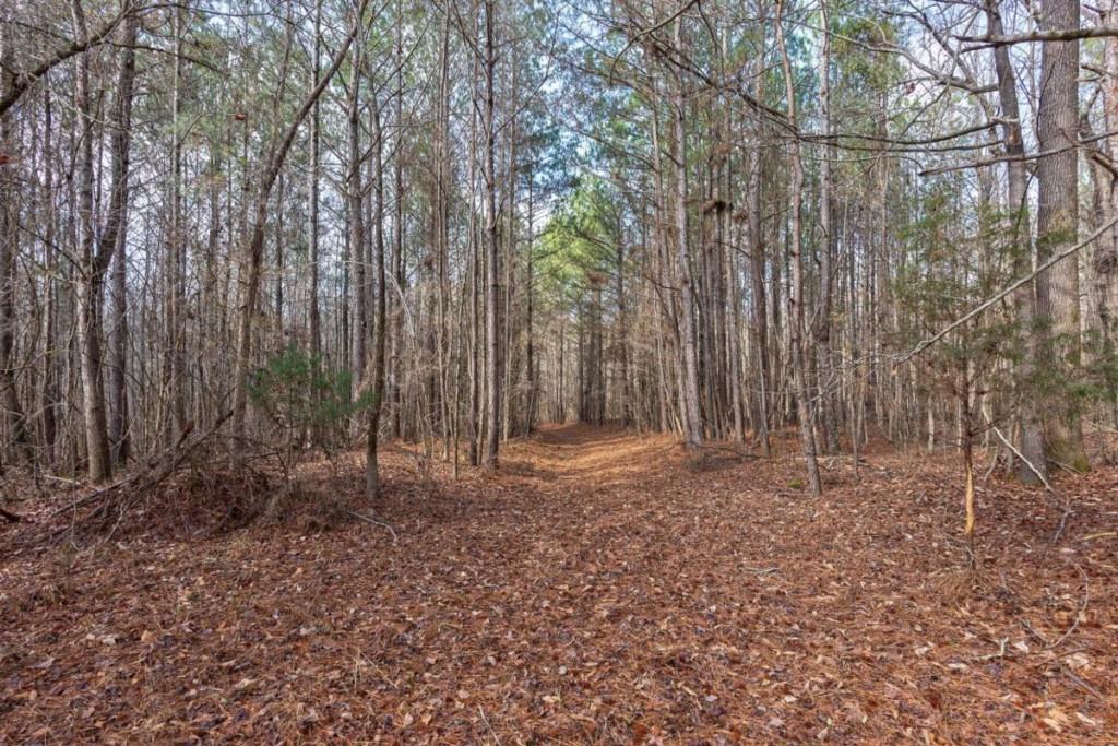 0 Double Bridges Road Madison, GA 30650 - Photo 15 of 20 a backyard of a house with lots of plants and seating