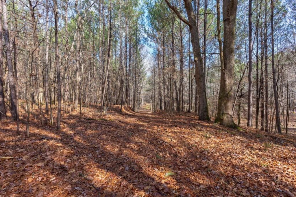 0 Double Bridges Road Madison, GA 30650 - Photo 16 of 20