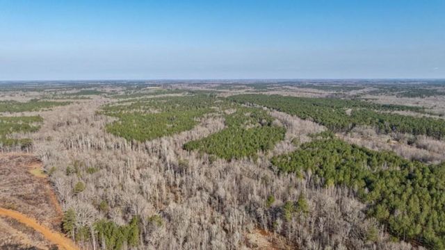 $1,750,000 | 0 Double Bridges Road, Madison, GA 30650