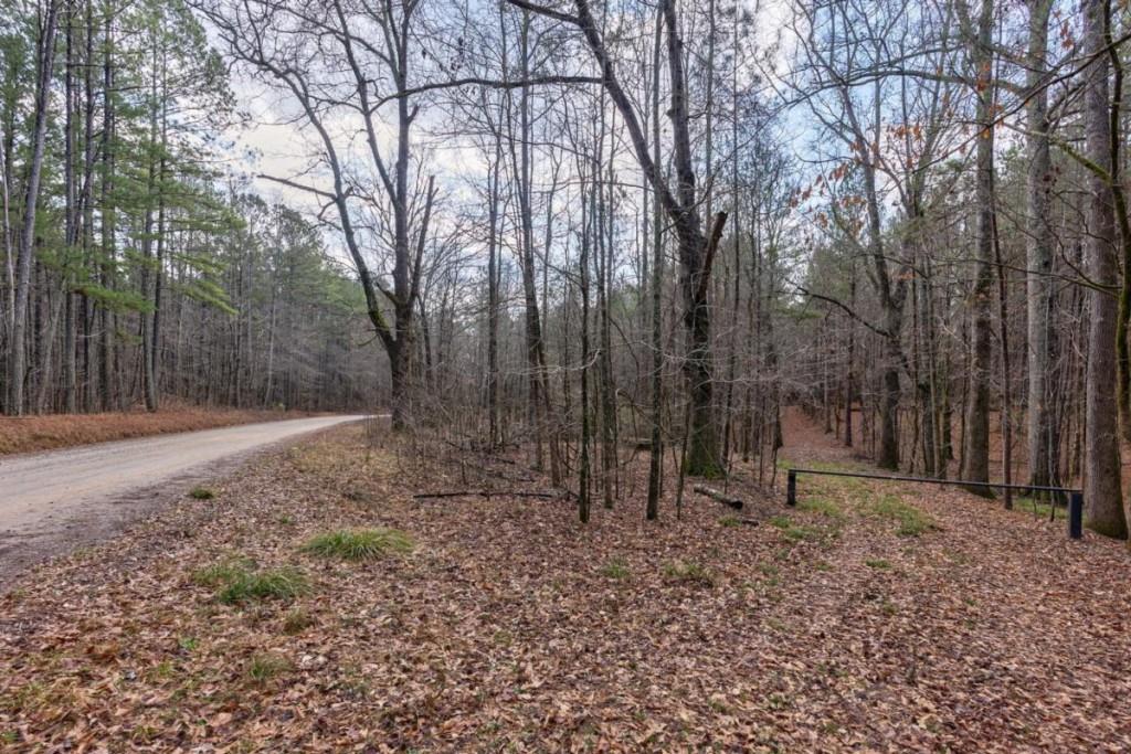 0 Double Bridges Road Madison, GA 30650 - Photo 4 of 20 a backyard of a house with lots of green space