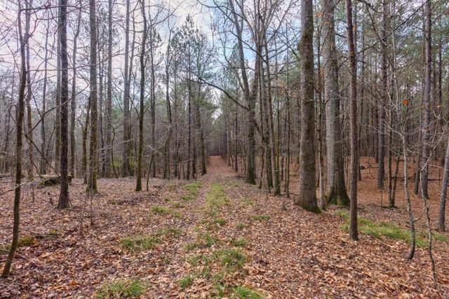a view of backyard with green space