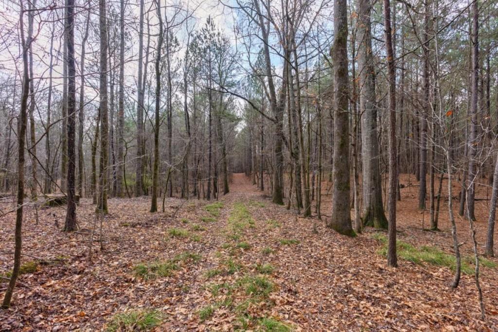 0 Double Bridges Road Madison, GA 30650 - Photo 5 of 20 a view of backyard with green space