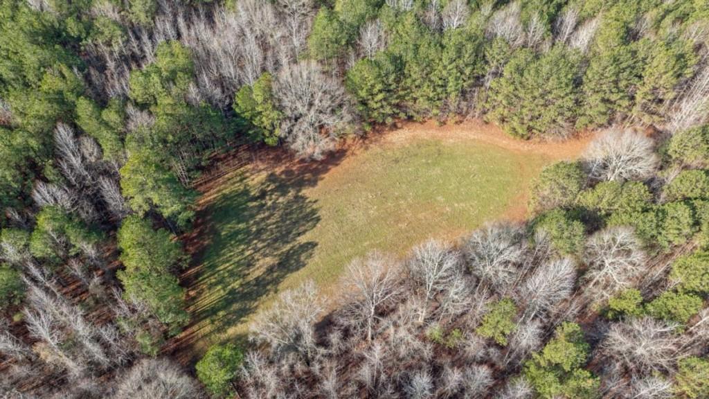0 Double Bridges Road Madison, GA 30650 - Photo 6 of 20 a view of a yard with a tree