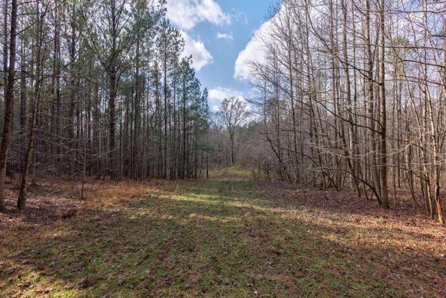 a view of a yard with trees in the background