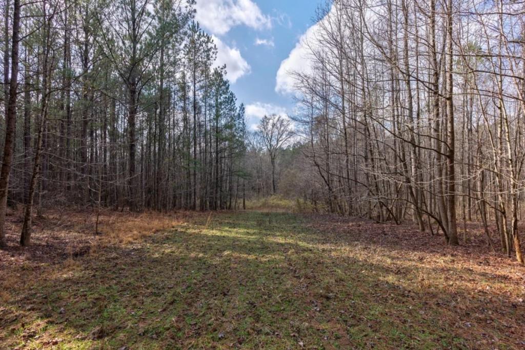 0 Double Bridges Road Madison, GA 30650 - Photo 8 of 20 a view of a yard with trees in the background