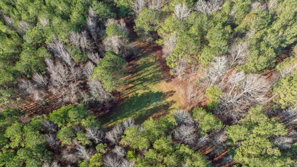 0 Double Bridges Road Madison, GA 30650 - Photo 9 of 20 a backyard of a house with lots of trees