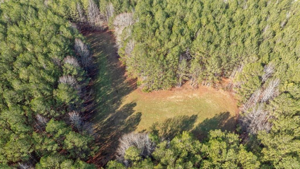 0 Double Bridges Road Madison, GA 30650 - Photo 10 of 20 a view of a forest with a tree