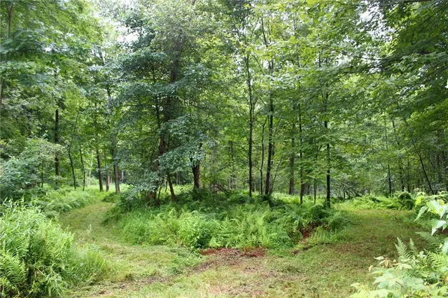 a view of green field