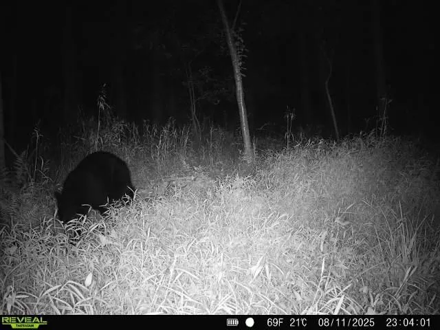 a view of an outdoor space and a yard