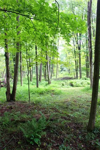 a view of yard with green space