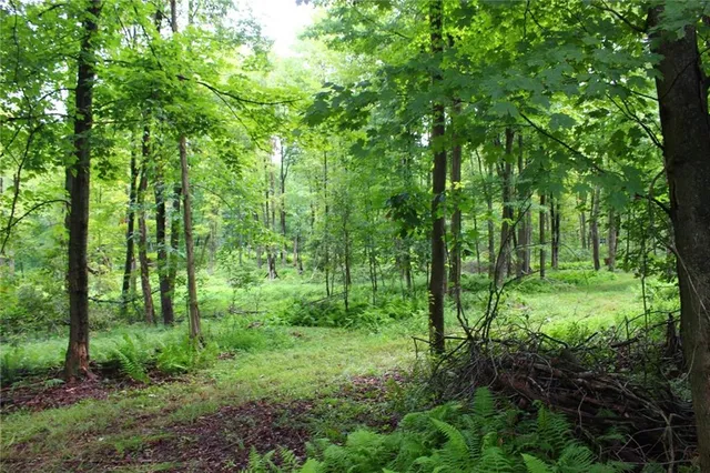 a view of outdoor space and green space