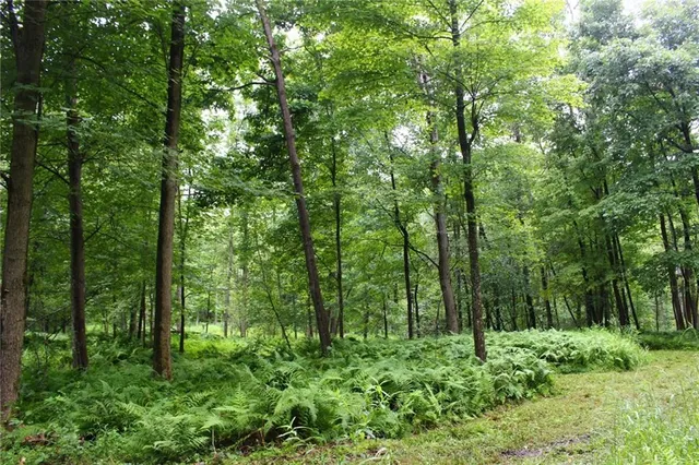 a view of outdoor space and green space