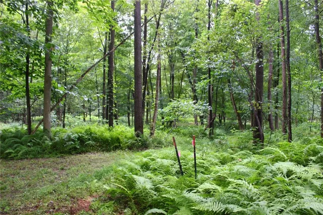 a backyard of a house with lots of green space and outdoor seating