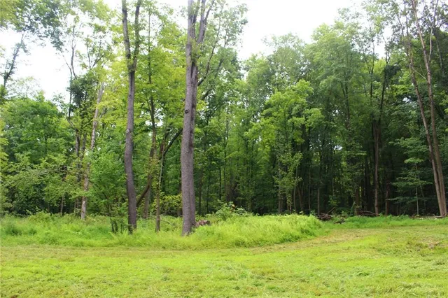 a backyard of a house with a yard and trees