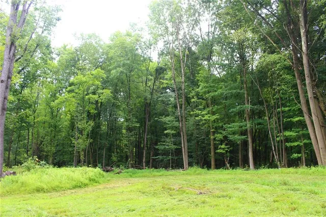 a backyard of a house with lots of green space