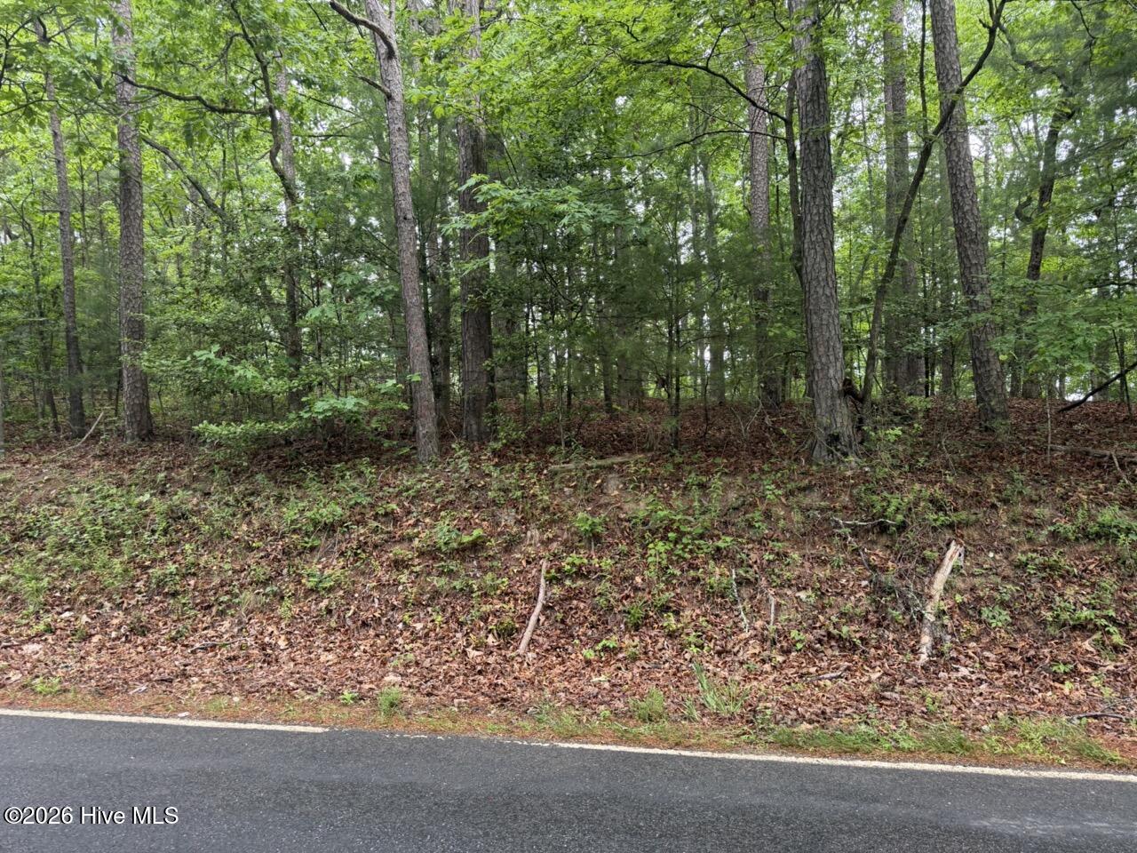 274 Snow Hill Ridge Road Murphy, NC 28906 - Photo 22 of 30