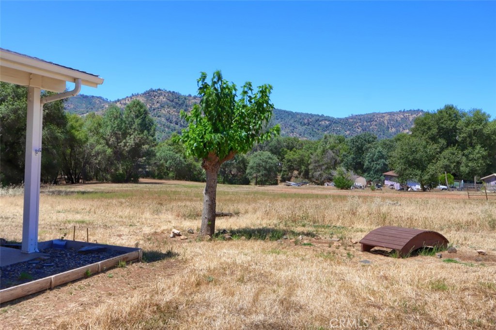 4078 Live Oak Road Mariposa, CA 95338 - Photo 47 of 63