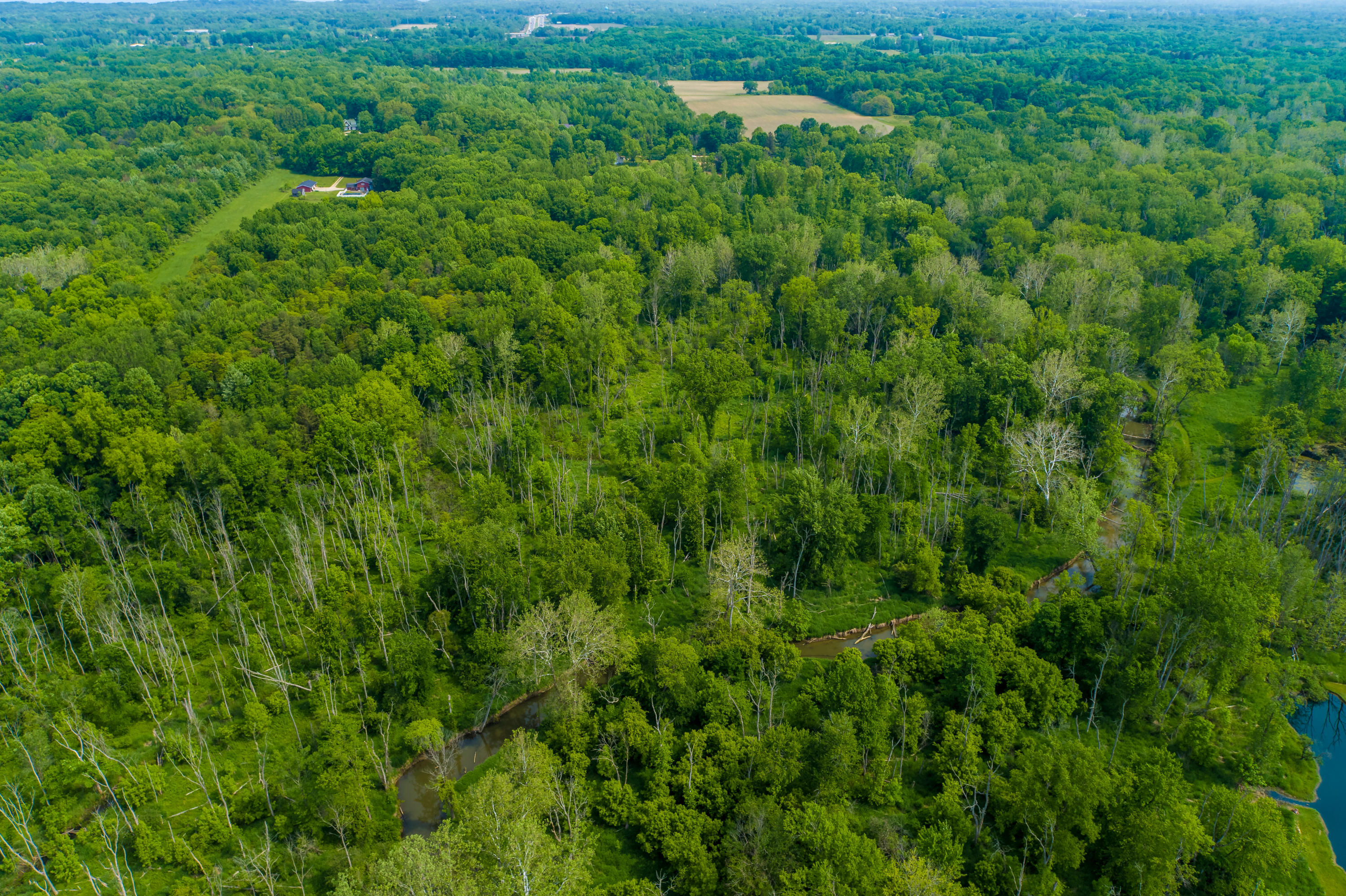 6180 Long Road Three Oaks, MI 49128 - Photo 20 of 26 Long Rd-3