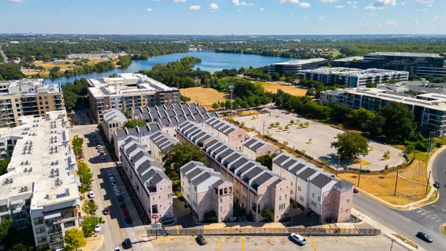 a view of a garden with a large tree