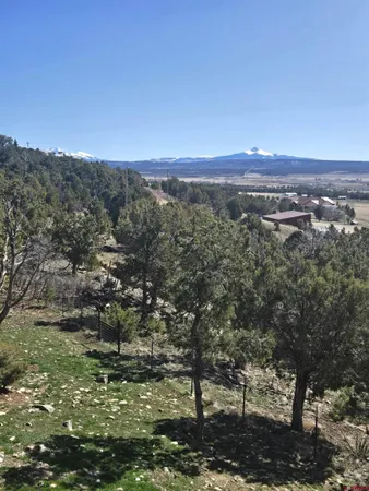 $725,000 | 1931 County Road 44Z North, Norwood, CO 81423