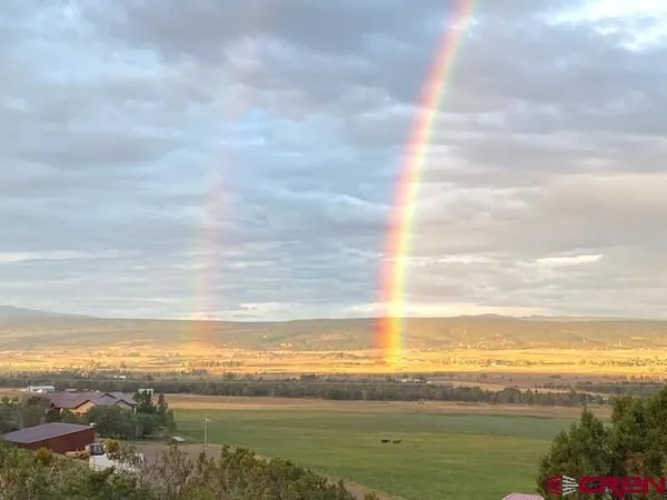 a view of a dry yard with trees