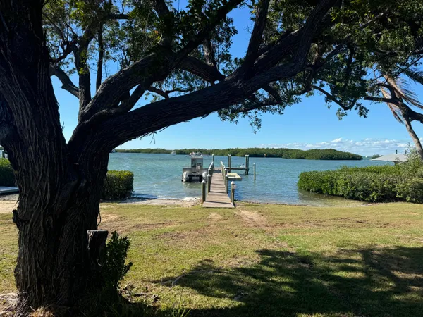 a view of an ocean with a tree