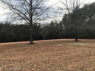 2.04 McDaniel Road Ashford, AL 36312 - Photo 1 of 26 Gallery Image 1