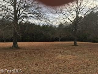 2.04 McDaniel Road Ashford, AL 36312 - Photo 19 of 26 Gallery Image 19