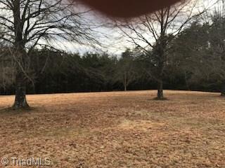 2.04 McDaniel Road Ashford, AL 36312 - Photo 20 of 26 Gallery Image 20