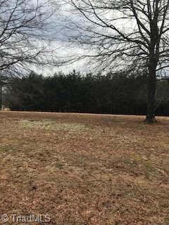 2.04 McDaniel Road Ashford, AL 36312 - Photo 3 of 26 Gallery Image 3