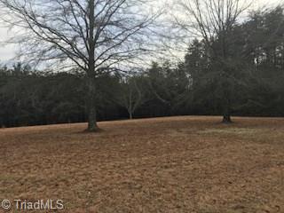 2.04 McDaniel Road Ashford, AL 36312 - Photo 23 of 26 Gallery Image 23