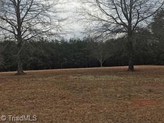 2.04 McDaniel Road Ashford, AL 36312 - Photo 7 of 26 Gallery Image 7
