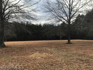 2.04 McDaniel Road Ashford, AL 36312 - Photo 9 of 26 Gallery Image 9