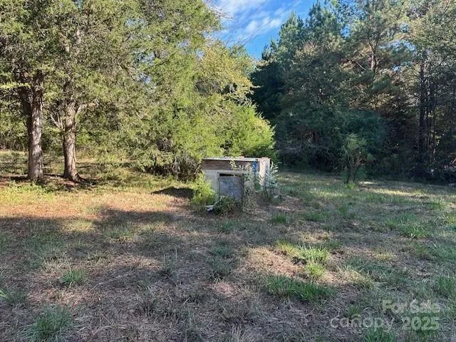 a view of a yard with a tree