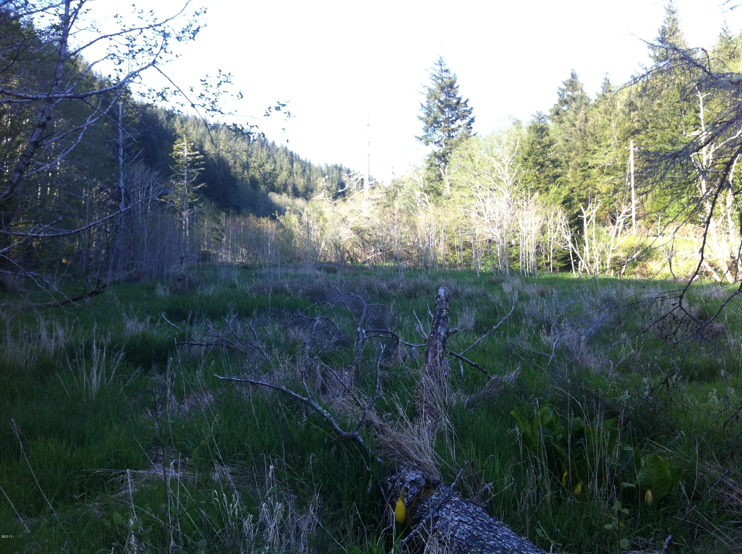 401 South Anderson Creek Road Lincoln City, OR 97367 - Photo 6 of 16 055